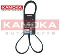 KAMOKA 7016136 Keilrippenriemen Keilriemen 