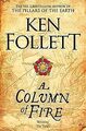 A Column of Fire (The Kingsbridge Novels) von Follett, Ken | Buch | Zustand gut