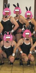 Wie NEU Faschingskostüm Karneval heißes Häschen Hase Bunny Playgirl 42 44 46 M L