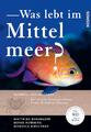 Was lebt im Mittelmeer? | Matthias Bergbauer (u. a.) | Taschenbuch | 368 S.