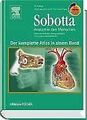 Sobotta - Der komplette Atlas der Anatomie des Menschen ... | Buch | Zustand gut