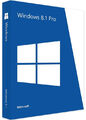 Windows 8.1 Professional Key