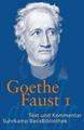 Faust | Johann Wolfgang Goethe | 2013 | deutsch