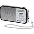 TechniSat Techniradio RDR Taschenradio DAB+, UKW AUX, USB Taschenlampe Silber