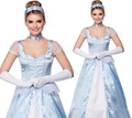 Cinders Kostüm Erwachsene Damen Märchen Aschenputtel Prinzessin Kostüm UK 6-24