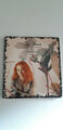 Tori Amos  -  The Beekeeper  -  DVD & CD