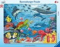 Ravensburger Kinderpuzzle - Unten im Meer - 30-48 Teile Rahmenpuzzle für...