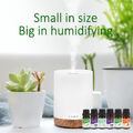 Ultraschall Luftbefeuchter Aroma Diffuser Diffusor Humidifier Mit Ätherische Öle