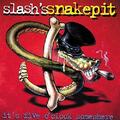 It's Five O'clock Somewhere - Slash's Snakepit