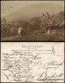 Jakarta Batavia Mann vor Palmenhütte - Vulkan Indonesia Java 1911 Privatfoto