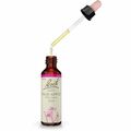 BACHBLÜTEN Crab Apple Tropfen 20 ml PZN00053255