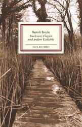 Buckower Elegien und andere Gedichte Bertolt Brecht Buch Insel-Bücherei 49 S.