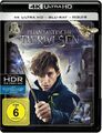 Phantastische Tierwesen und wo sie zu finden sind 4K Ultra HD+Blu-ray NEU/OVP