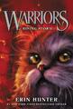 Warriors 04. Rising Storm | Erin Hunter | Taschenbuch | 315 S. | Englisch | 2015