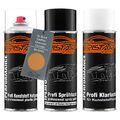 Lack Spraydosen Set Kunststoff für Buick Cadillac 89 424G Mayan Gold Metallic