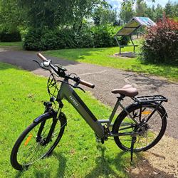 Elektrofahrrad Elektro-Roller 26 Zoll 250W Pedelec Cityräder Damen/Herren E-Bike