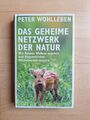 Das geheime Netzwerk der Natur von Peter Wohlleben (Gebunden)