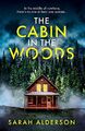 The Cabin in the Woods: a dark and gripping psychological thriller with a twist