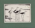 Peter Scott ~ BLACK - WINGED STELTS ~ Original Original Vintage Print 1936