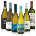 Feinste-Weine Sauvignon Blanc "Around the World"-Probierpaket (6 * 0,75l)