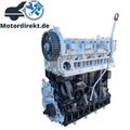 Instandsetzung Motor 199B1.000 Fiat Punto Evo 199 1.3 D Multijet 95 PS Reparatur