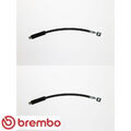 2x Bremsschlauch Brembo T59087 2 Bremsschläuche rechts links Hinterachse