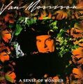 Van Morrison A sense of wonder (1984)  [LP]