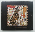 Steve Earle - Washington Square Serenade CD Digipack US 2007 Zustand: akzeptabel