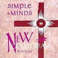 New Gold Dream (81-82-83-84) von Simple Minds | CD | Zustand sehr gut