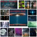 Halloween 24 Fenster Videos Display KEIN PROJEKTOR ENTHALTEN/NUR DIGITALE DATEIEN