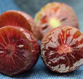 Sale358 Mini Kiwi rot Kiwibeere 10 Samen red