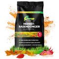 Rasendünger Herbst mit Langzeitwirkung Herbstrasendünger Kaliumdünger - 10-30kg