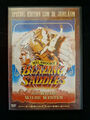 Mel Brooks' Blazing Saddles - Der wilde wilde Westen [Special Edition] [DVD]