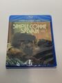 Simple Comme Sylvain (2023, Blu-Ray) *Contains English Subtitles - NEW