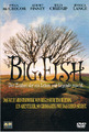 Big Fish | DVD | Zustand sehr gut