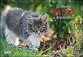 DUMONTS Katzenkalender 2021 - Broschürenkalender - ... | Buch | Zustand sehr gut