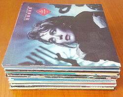 SCHALLPLATTENSAMMLUNG  31 LPs , 80er und 90er Rock, Pop, (Konvolut)