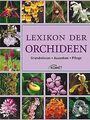 Lexikon der Orchideen: Herkunft, Wirkung, Verwendun... | Buch | Zustand sehr gut