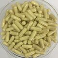 Bovine Colostrum Capsules Natural Pure & High Quality Cow Milk Colostrum