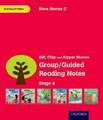 Oxford Reading Tree: Level 4: More Stories C: Group/Guided Reading Notes Buch