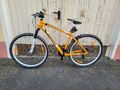 Fahrrad Mountainbike 29zoll 