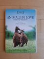 Animals in love - Tierisch verliebt (DVD)