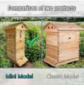 Starter Kit MIni Bee Box Self-Auto Run Honey Design Beehive Hive Box &10X Frames