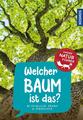 Welcher Baum ist das? Kindernaturführer | 85 heimische Bäume & Sträucher | Holge