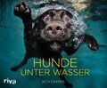 Hunde unter Wasser | Seth Casteel | Buch | 132 S. | Deutsch | 2019 | riva