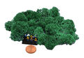 Muwse Islandmoos 5g Spur Z Kopf gereinigt Diorama Landschaft Moos Auswahl