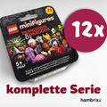 LEGO Minifiguren Dungeons & Dragons - 71047 Kompletter Satz 12 Figuren, ohne OVP