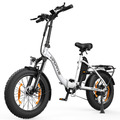 20 Zoll Elektrofahrrad Klapprad E-Bike 250W Bike Shimano Pedelec Fat City Bike