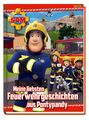 Katrin Zuschlag ~ Feuerwehrmann Sam: Meine liebsten Feuerwehrg ... 9783833244469