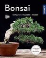 Bonsai (Mein Garten): Gestalten Pflanzen Pflegen von Sta... | Buch | Zustand gut